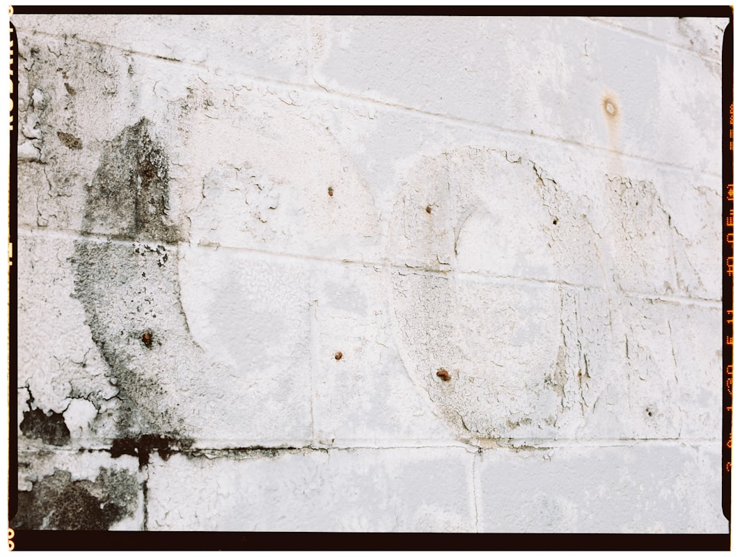 Mold Remediation service in Layton, UT