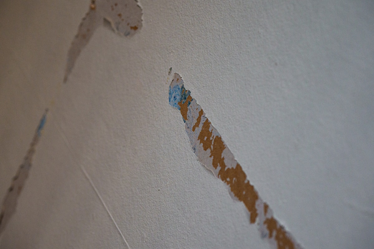 Basement Water Removal service in Layton, UT